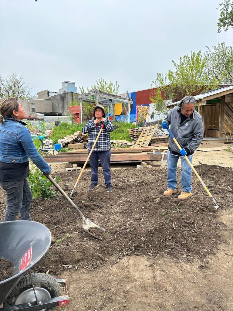 Image of three latine gardeners working in a community garden